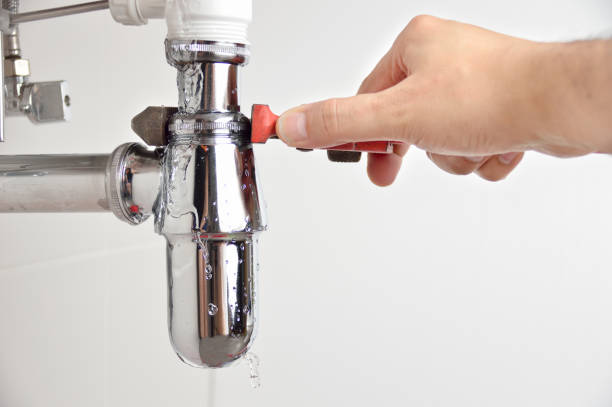 Plumbing System Maintenance in Senath, MO